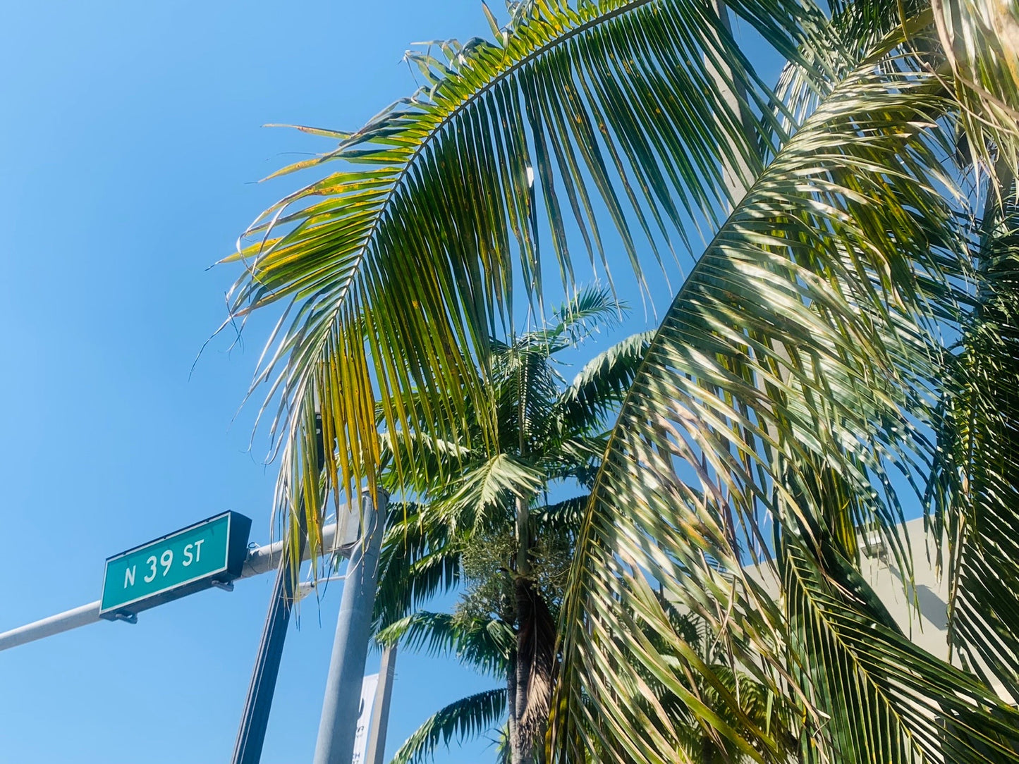Favorite Florida Vaca