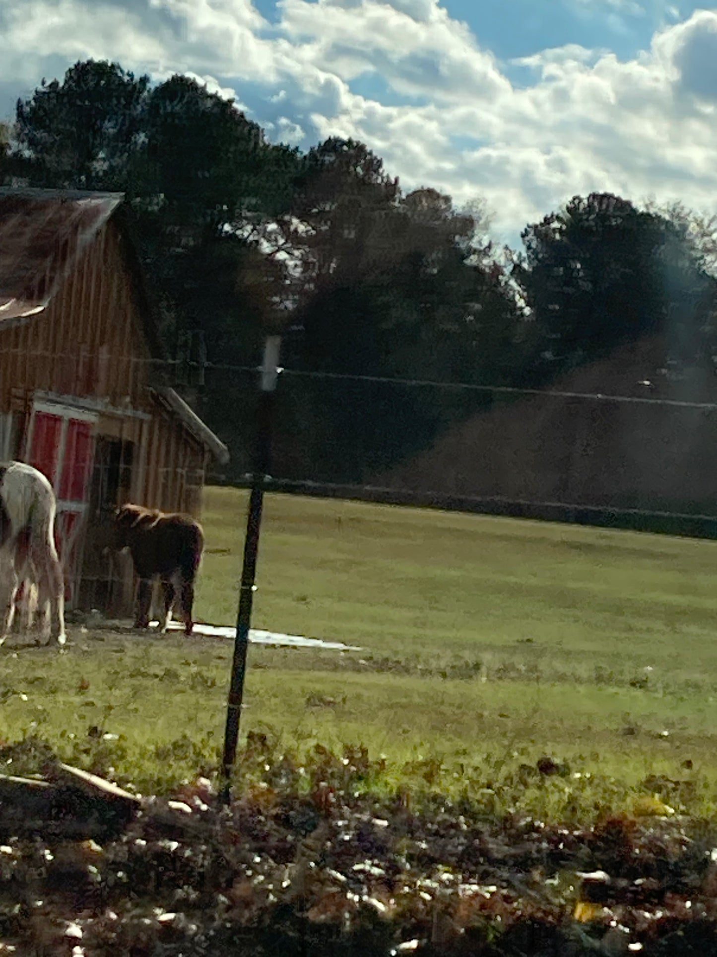 A horse and it’s farm house