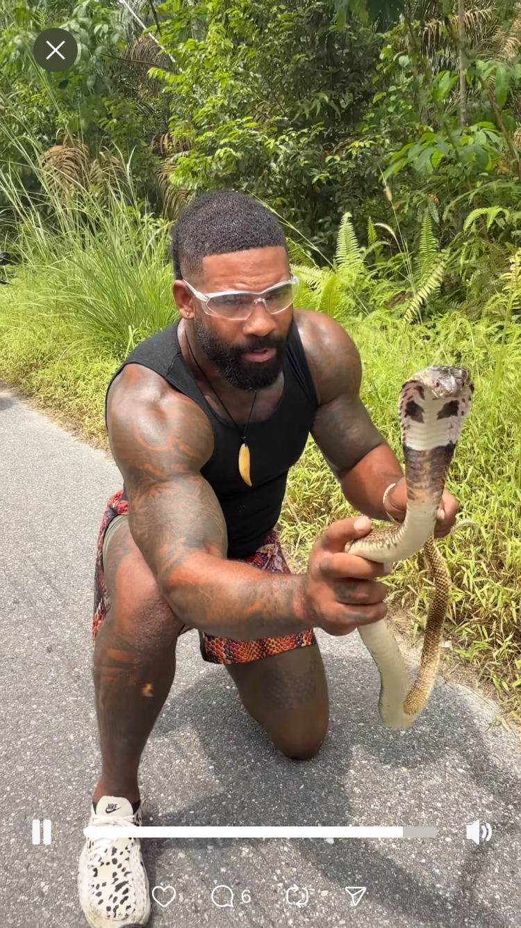 Infamous snake design