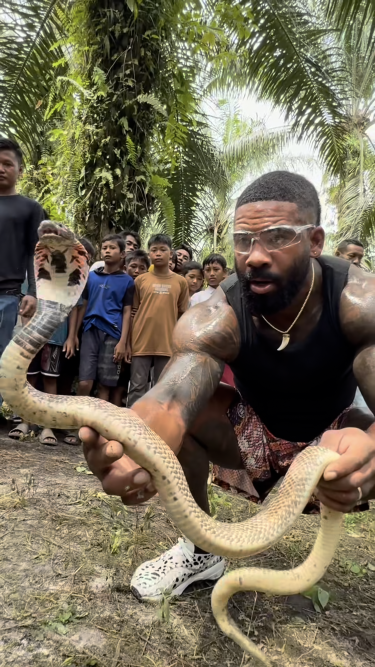 Infamous snake design