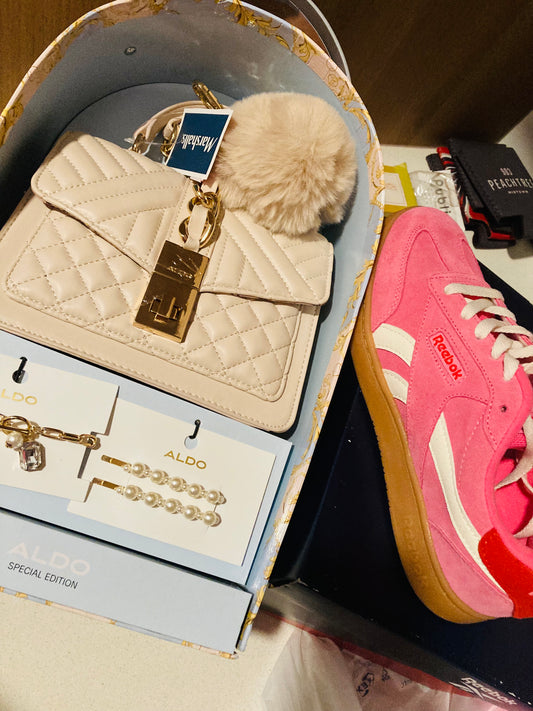 Purse shoe set